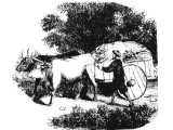 Ox cart